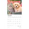 Kittens & Puppies | 2026 12 x 24 Inch (Hanging) Monthly Square Wall Calendar | Foil Stamped Cover | Plastic-Free | BrownTrout | Animals Cute Cats Dogs